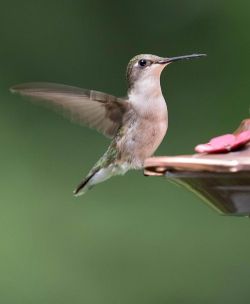 August 2016 Photo: Lewis Holmes