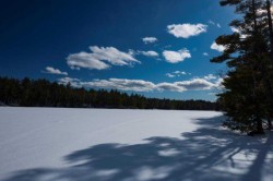 Weary Pond Photo: Tony Marple