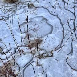 Frozen meadow Photo: Jen Adams