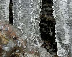 Closeup icicle Photo: Sheri Larsen