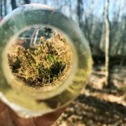 Moss bottle Photo: Collin Miller
