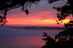 Sunset Fog Maine Photo: Richard Carbonetti