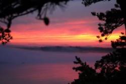 Sunset Fog Maine Photo: Richard Carbonetti