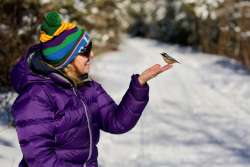 Nuthatch Photo: Tom Grett