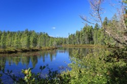 Osgood River Photo: John W. Blaser