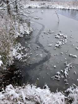 Otter trail Photo: Kirk Gentalen