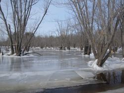 28---floodplain_nordic_skating_kezar_pond_fryeburg_me.jpg