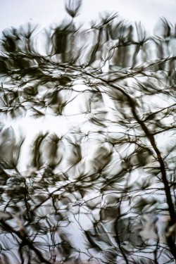 Ripples Water Photo: Northern Woodlands