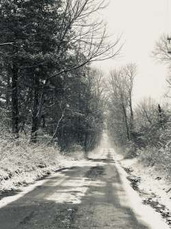 Snowstorm Photo: Deborah DeSalvo