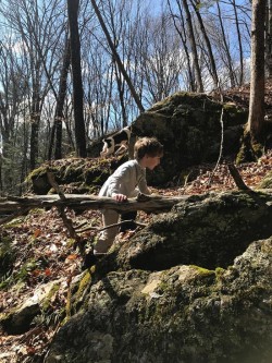 Boy Woods Dog Photo: Anonymous