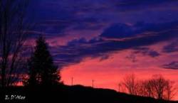 November sky Photo: Eric D'Aleo