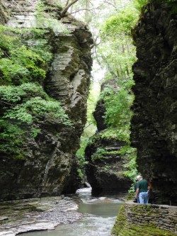 Watkins Glen Photo: Bonnie Honaberger