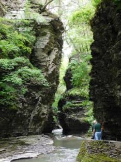 Watkins Glen Photo: Bonnie Honaberger