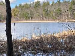 Wetlands view Photo: Nancy Halloran