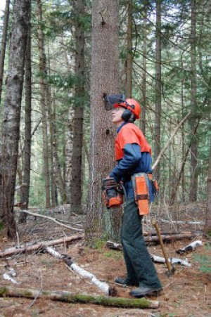 At Work Improving Woodlots with Paul Cate thumbnail