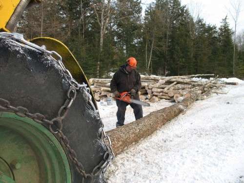 Peter Pfeiffer Skidder