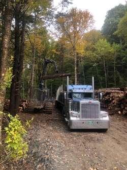 Logging Photo: Andrew Sheere