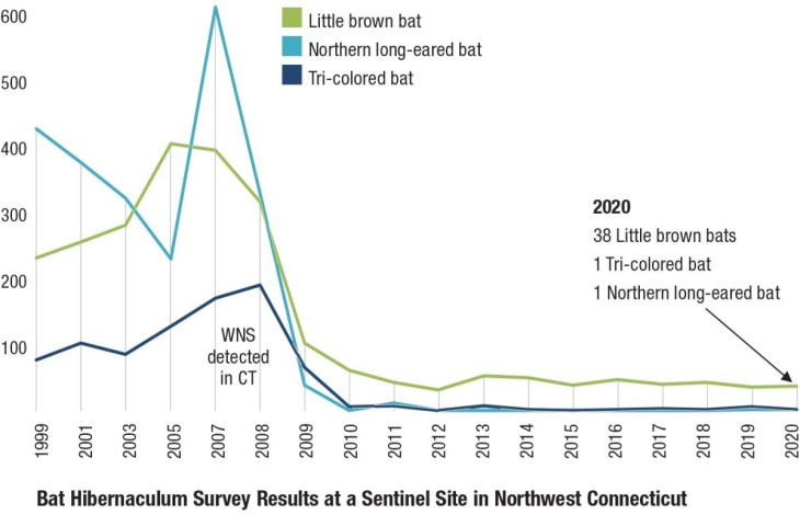 Bat sickness chart