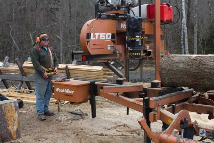 David Bowman Crafts Buildings from Trees