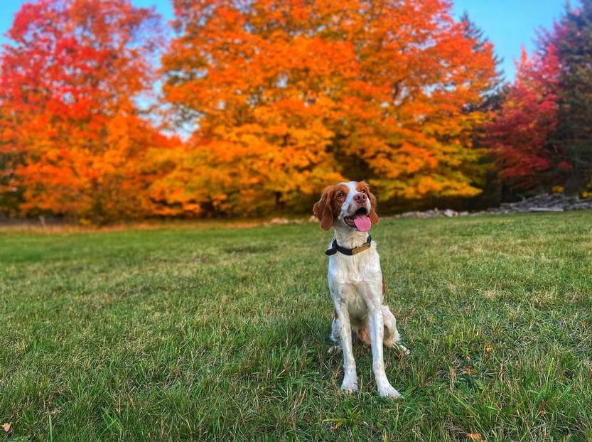 Hunting the Maine Woods and Waters with Christi Holmes