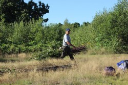 Woven Sculpture and Meadow Restoration Go Hand in Hand Photo: Greater Worcester Land Trust