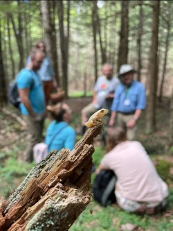 Frog selfie Photo: Brittany G.