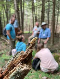 Frog selfie Photo: Brittany G.