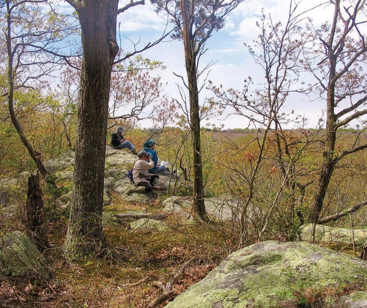 Finding Gibbs Swamp