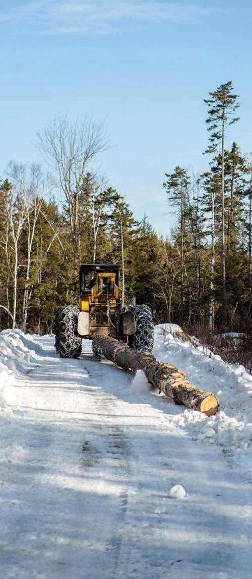 Logging