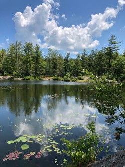 Mountain Pond Photo: Larry Bruffee