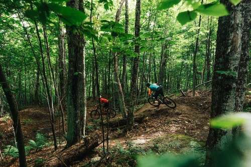 Mountain bikers