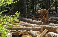 North Bennington Lumber Photo: Marcy Stanton