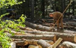 North Bennington Lumber Photo: Marcy Stanton