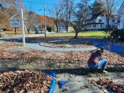 Garden cleanup Photo: Emily S. Rowe
