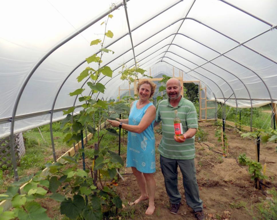 Patty Cormier Hoop house