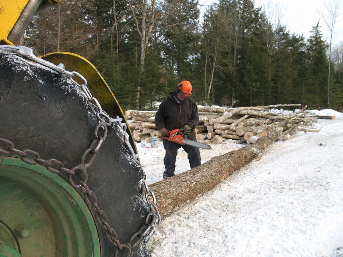 Peter Pfeiffer: A Lifetime in the Maine Woods