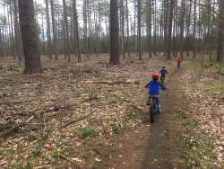 Mountain biking Photo: Alex Barrett