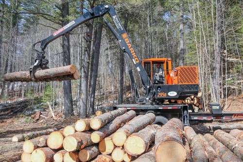 Logging