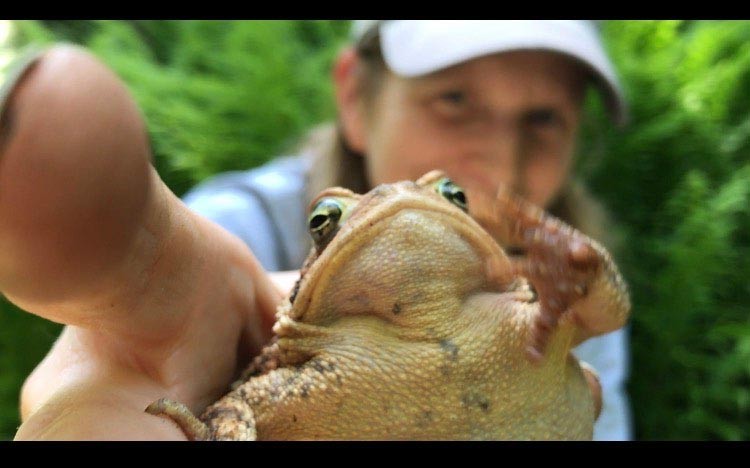 Sally Naser Captures Wildlife on Hidden Cameras