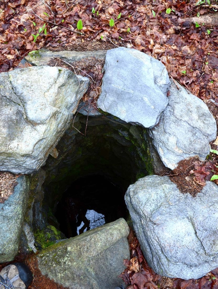 Stone Records in a Rewilding Landscape