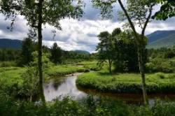 Mountain View Photo: Sue March