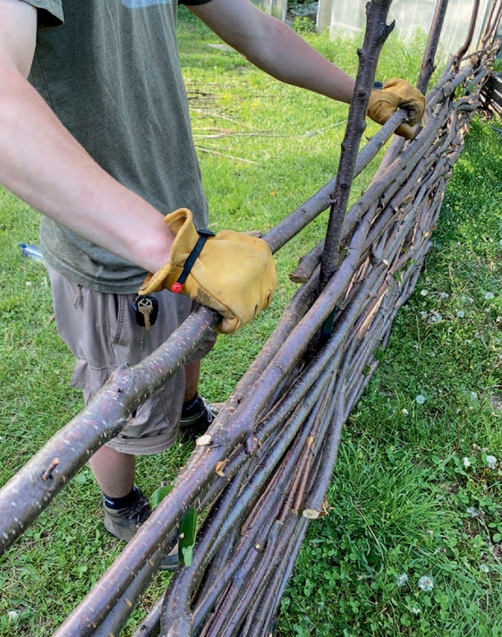 3-weaving-wattle-fence.jpg