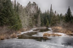 Big brook Photo: Sylvia Vidal