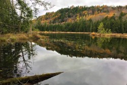 October reflection on duck pond Photo: Lindsay Miller