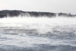 Fog water Photo: Leif Tillotson