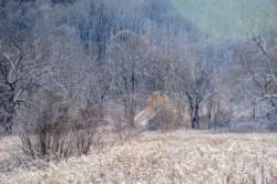 New Snow Photo: John Snell