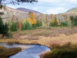 Sacandaga River Photo: Donald Wharton