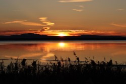 Sun over water Photo: Leif Tillotson