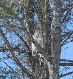 January 2016 Photo: Jane Hulstrunk