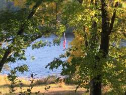 Flag nature Photo: Rodney Johnson